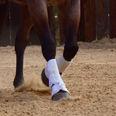 ProTech Front Splint Boots - Hind White Medium