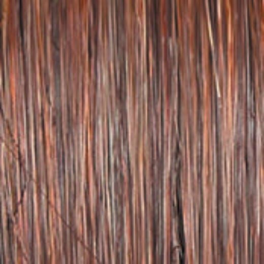 Untold Story - Wig by Raquel Welch