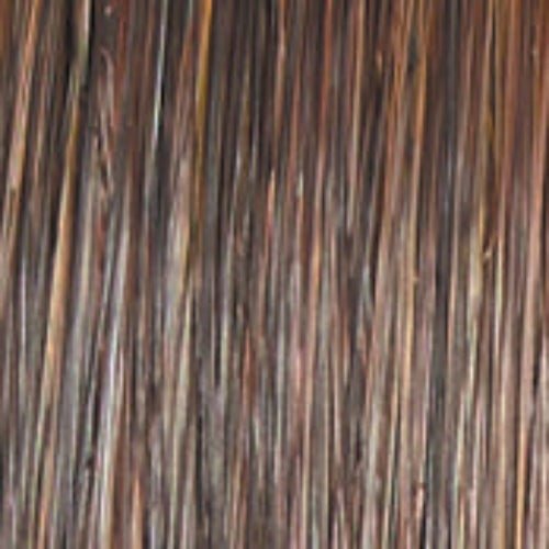 Untold Story - Wig by Raquel Welch