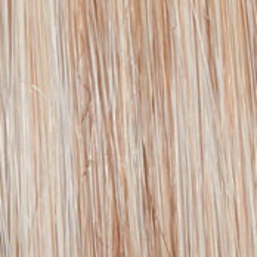 Untold Story - Wig by Raquel Welch