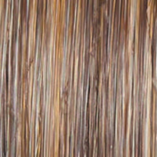 Untold Story - Wig by Raquel Welch