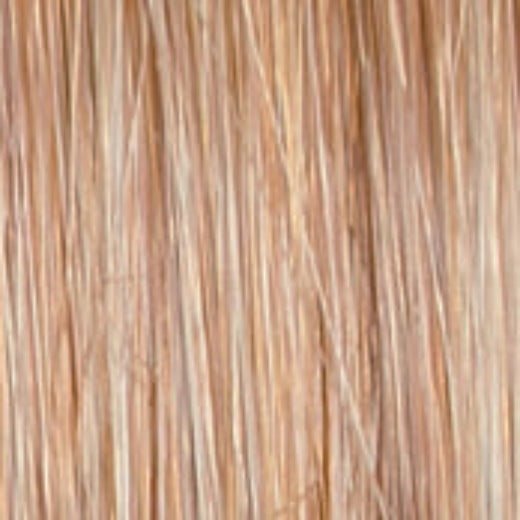 Untold Story - Wig by Raquel Welch
