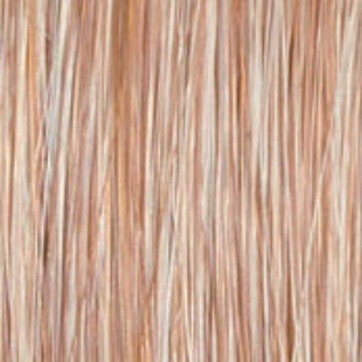 Untold Story - Wig by Raquel Welch
