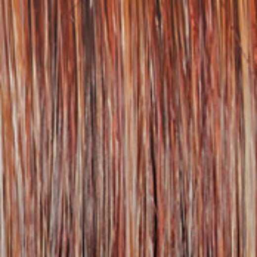 Untold Story - Wig by Raquel Welch