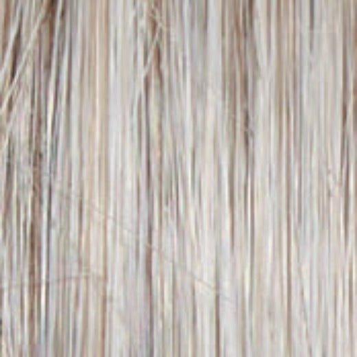 Untold Story - Wig by Raquel Welch