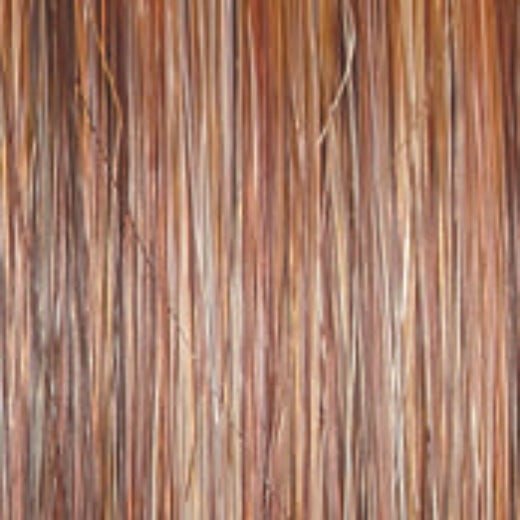Untold Story - Wig by Raquel Welch