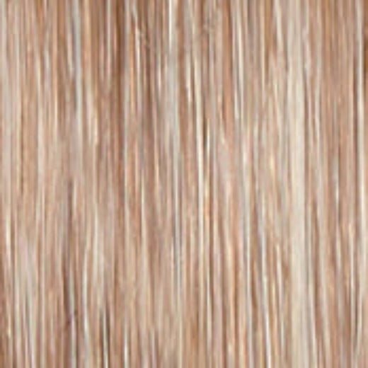 Untold Story - Wig by Raquel Welch