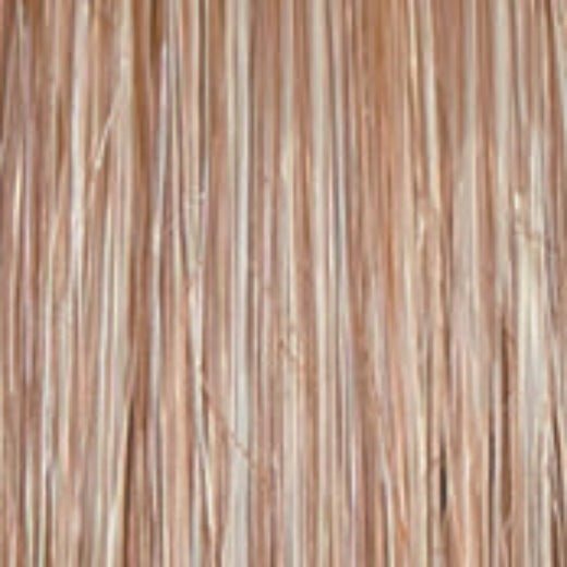 Untold Story - Wig by Raquel Welch