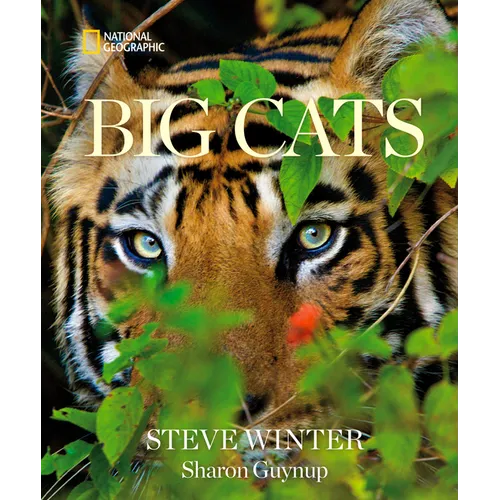 Big Cats