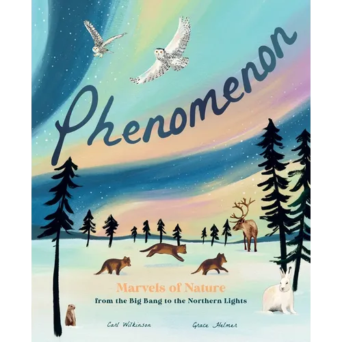 Phenomenon: Marvels of Nature from the Big Bang to the Northern Lights
