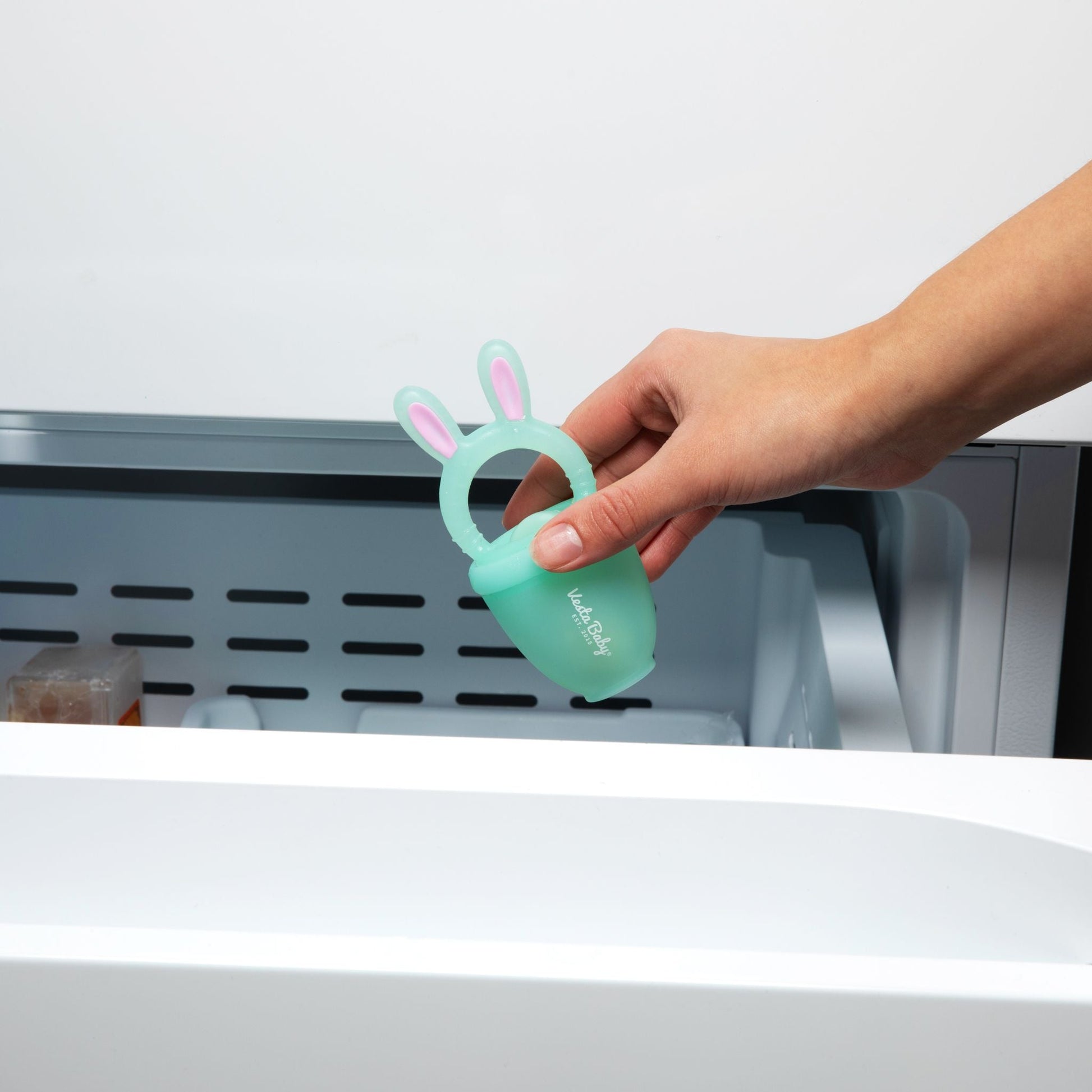 Soft Silicone Fruit Feeder Food Nibbler Teether Set - Vesta Baby - Little Red General Store