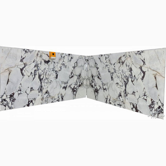 Calacatta Viola White Bookmatching Marble Slabs Polished - Full Truckload