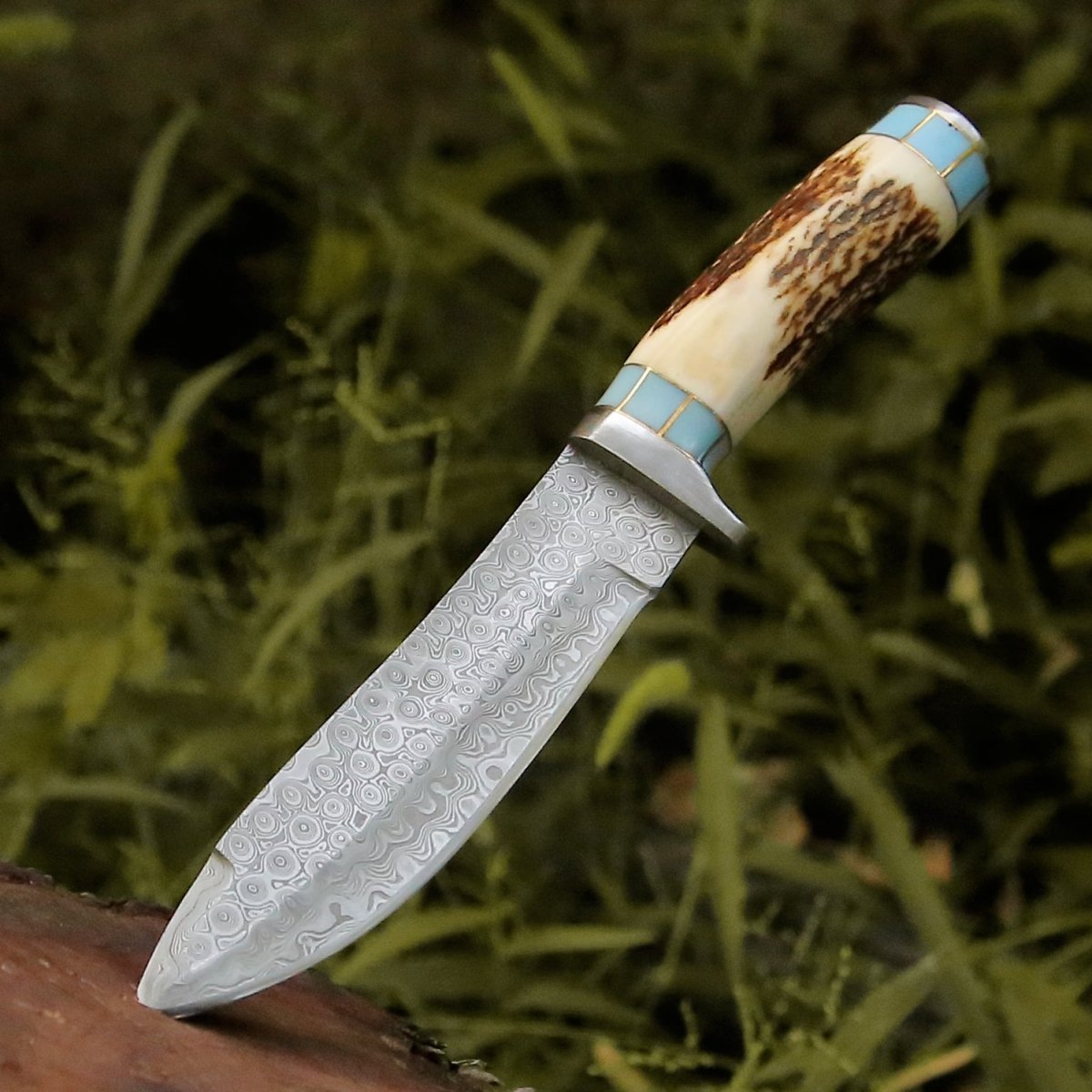 Viral Bull Nose Hunting Knife with Antler & Turquoise Handle