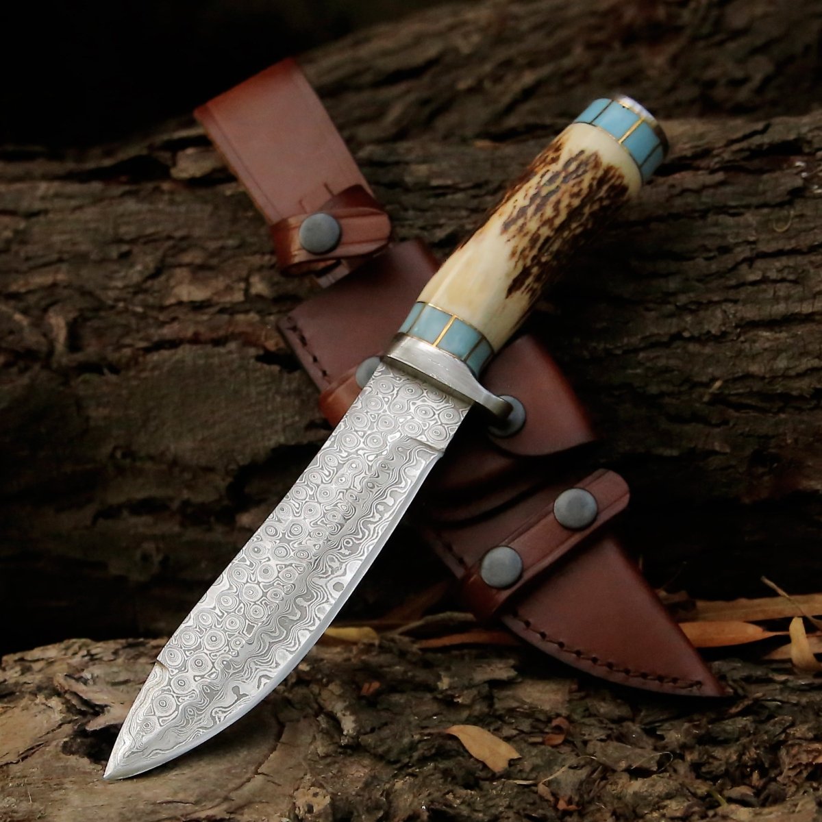 Viral Bull Nose Hunting Knife with Antler & Turquoise Handle
