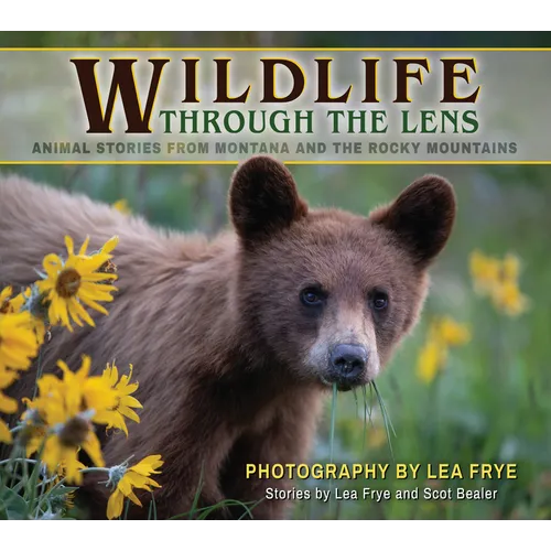 Wildlife Through the Lens: Animal Stories from Montana and the Rocky Mountains
