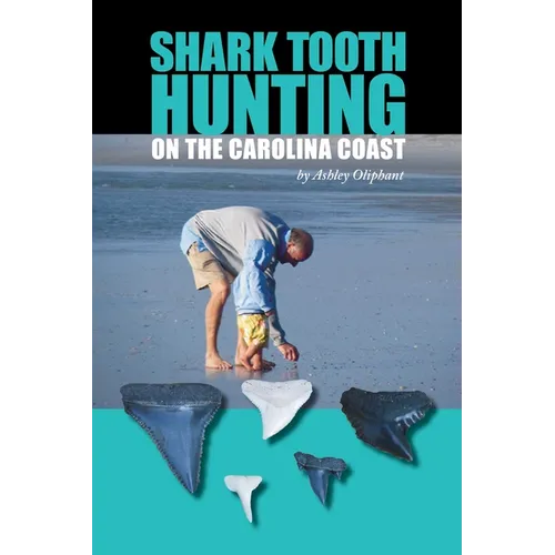 Shark Tooth Hunting on the Carolina Coast