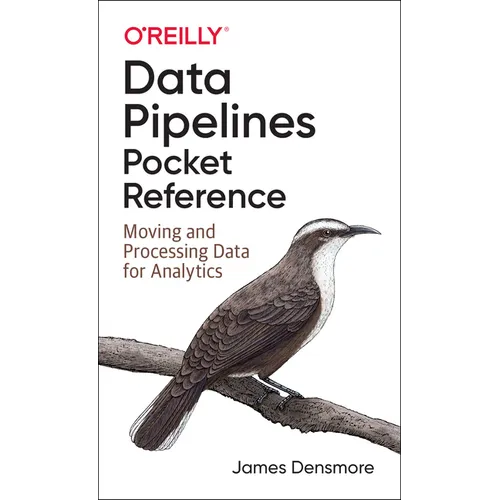 Data Pipelines Pocket Reference: Moving and Processing Data for Analytics