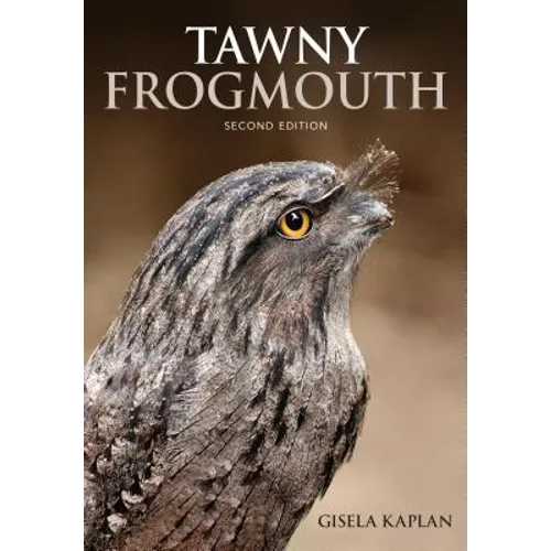 Tawny Frogmouth