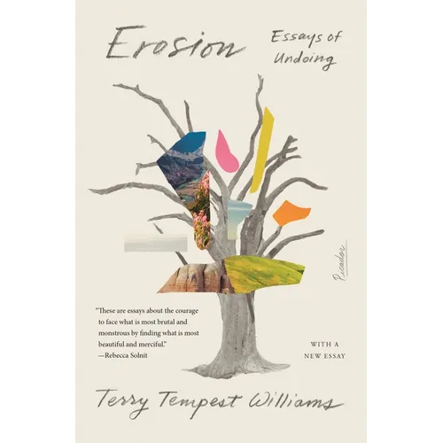 Erosion: Essays of Undoing