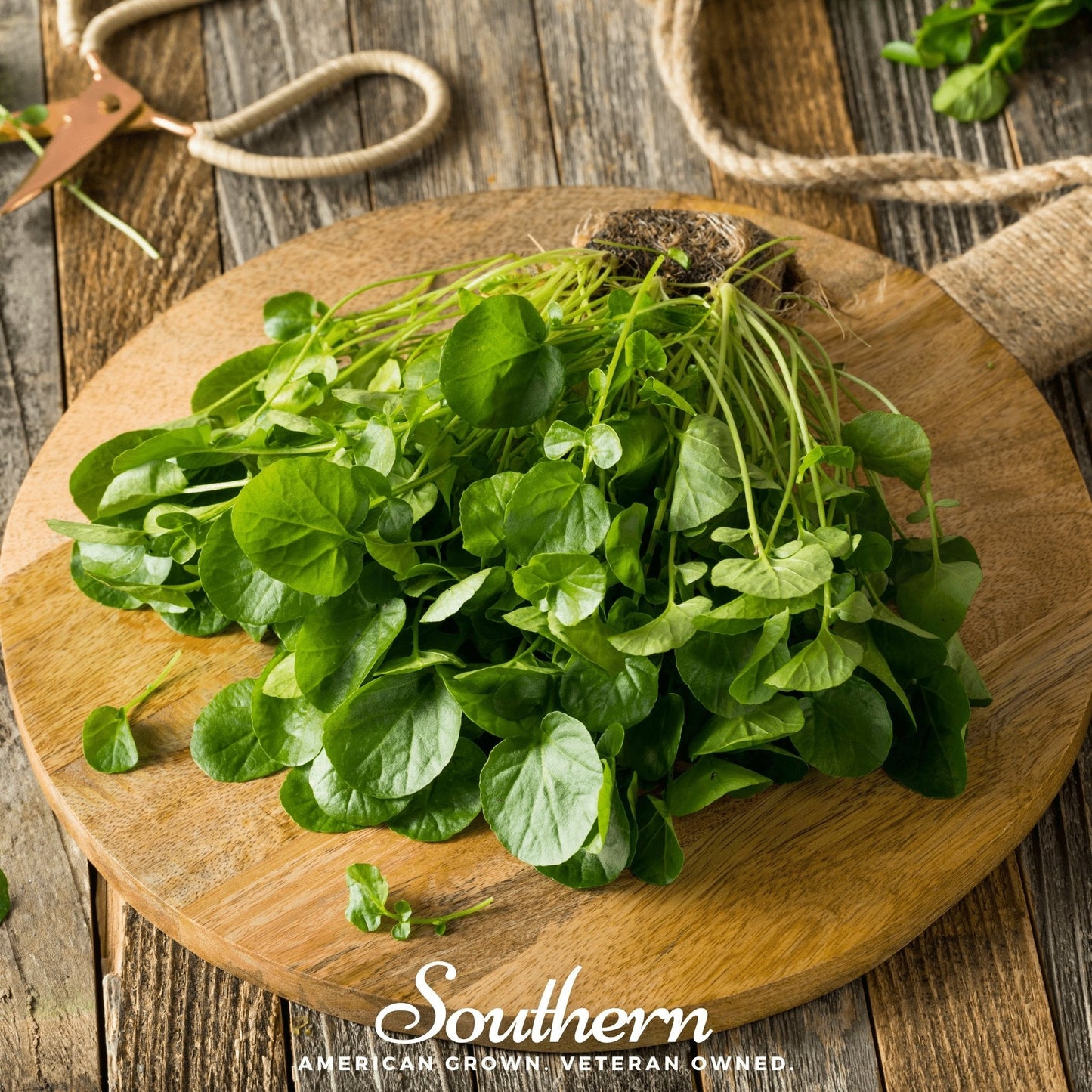 Watercress – 200 Seeds