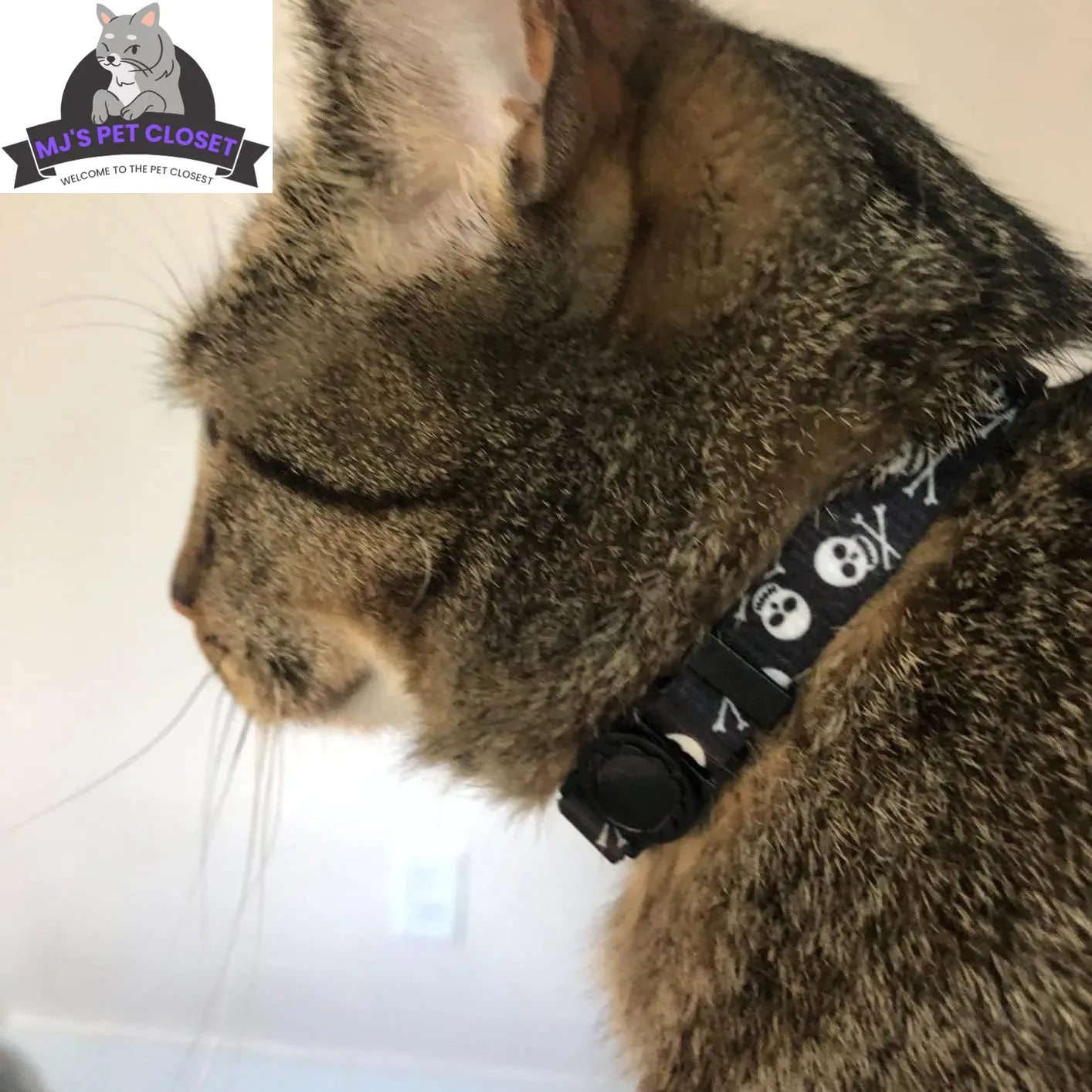 Cute & Stylish Breakaway Cat Collars! 🐾🎀 2-pack in Pink & Black Skull Design, Perfect for Your Fashionable Feline! 💖🐱