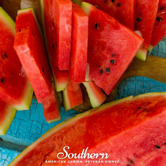 All Sweet Watermelon – 25 Seeds