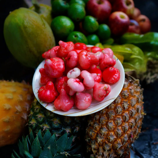 Wax Jambu, Red (Syzygium samarangense)