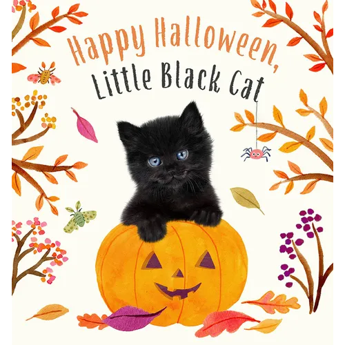 Happy Halloween, Little Black Cat: A Board Book