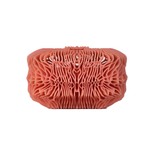 HY • MINI | SCHLOSSROSA