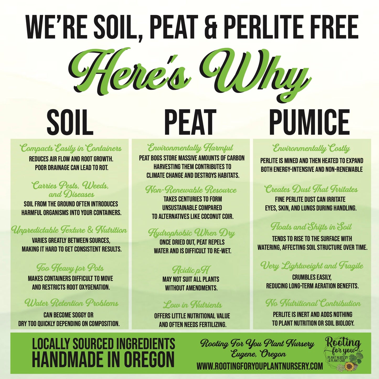 MYSTERY LITHOP - Living Stone Succulent in our Premium Lithops Mix! Includes Shipping!