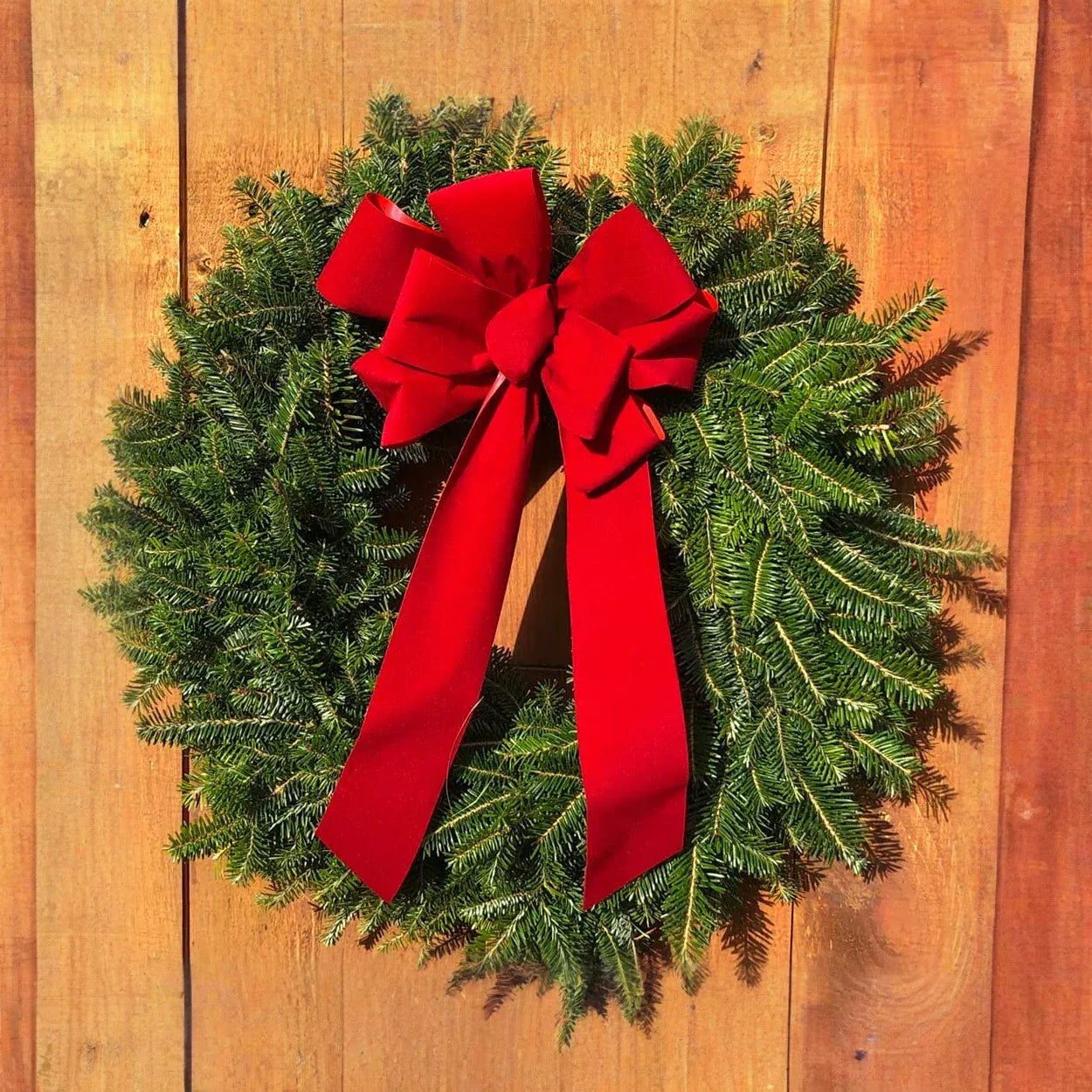 2 Pack of Balsam Fir Wreaths With Bow