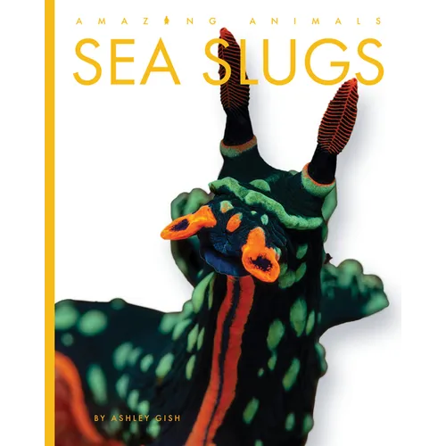 Sea Slugs