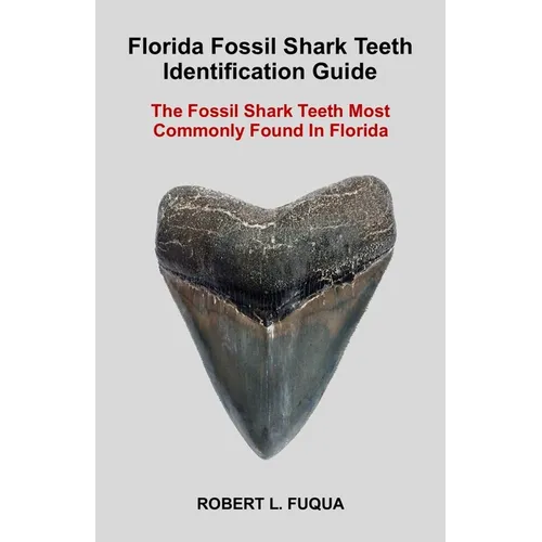 Florida Fossil Shark Teeth Identification Guide: The Fossil Shark Teeth Most Commonly Found In Florida