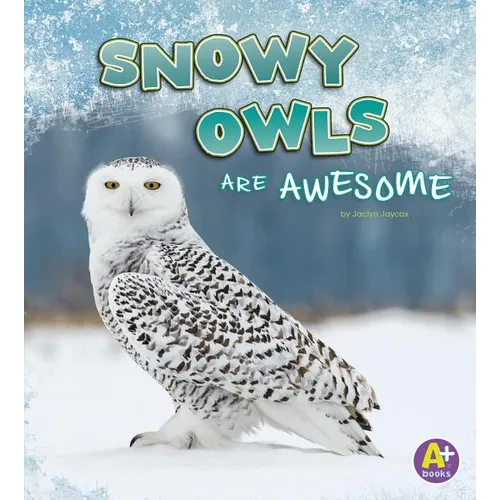 Snowy Owls Are Awesome