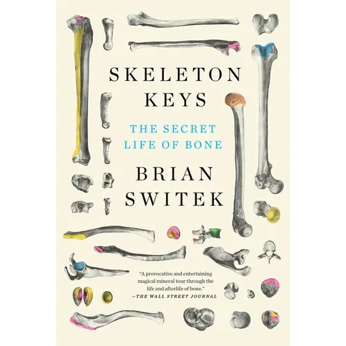 Skeleton Keys: The Secret Life of Bone