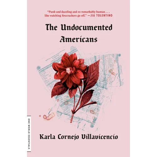 The Undocumented Americans