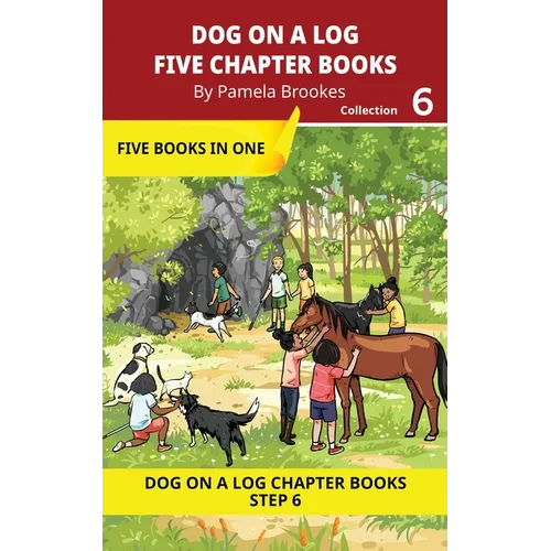 Five Chapter Books 6: Decodable Series for Students Learning to Read. For Developing Readers and Students with Dyslexia. (Step 6-Exception words conta