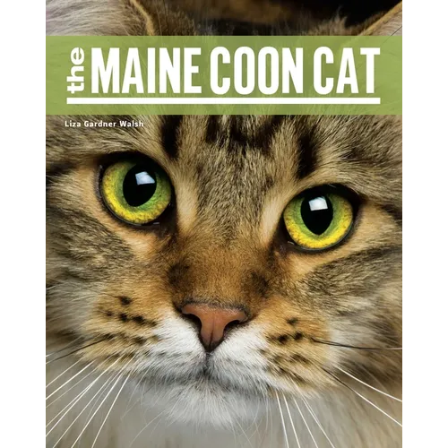 The Maine Coon Cat