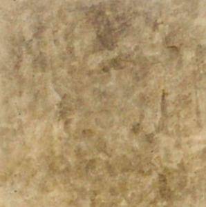 Z Aqua-Stain UV