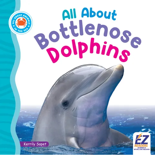 All about Bottlenose Dolphins