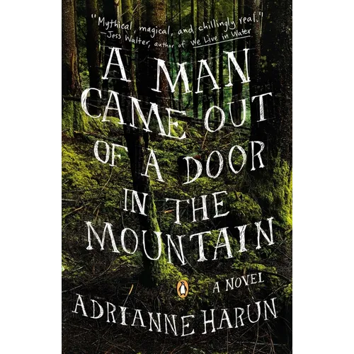 A Man Came Out of a Door in the Mountain