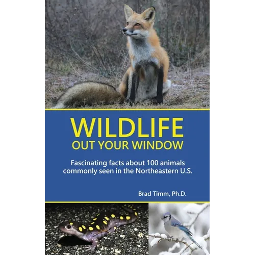 Wildlife Out Your Window: Fascinating Facts About 100 Animals Commonly Seen in the Northeastern U.S.